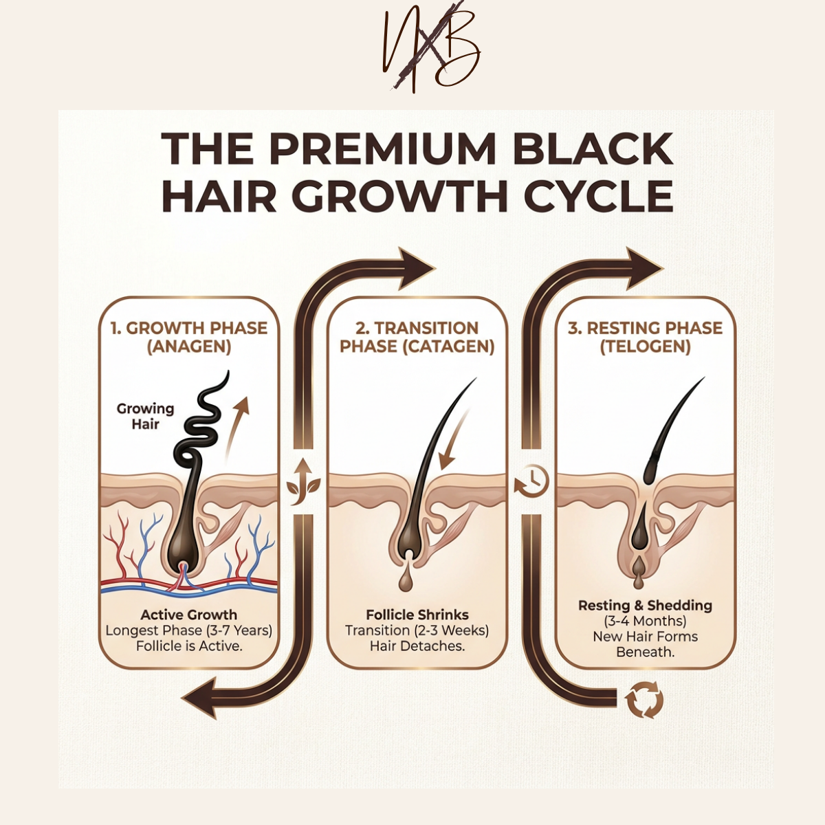 The Black Hair Care Blueprint:
A Complete Healthy Hair & Length Retention Guide for Type 4 & Mixed-Textured Hair (INSTANT DOWNLOAD eBOOK)